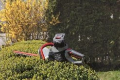 Scheppach Accu Hegtrimmer -Scheppach 5910604900 3